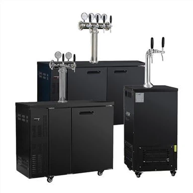 Beer Kegerator